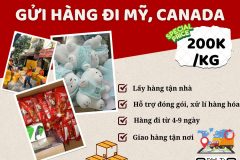Gửi hàng đi USA, Canada - Tiến Việt Express