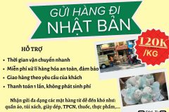 Gửi hàng đi Nhật Bản  - Tiến Việt Express
