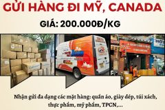 Gửi hàng đi USA, Canada - Tiến Việt Express