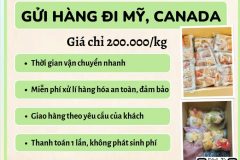 Gửi hàng đi USA, Canada - Emery Express