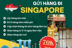 Gửi hàng đi Singapore - Tiến Việt Express