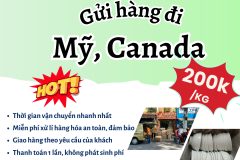 Gửi hàng đi USA, Canada - Tiến Việt Express