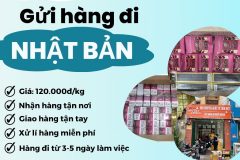 Gửi hàng đi Nhật Bản  - Tiến Việt Express