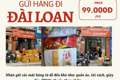 Gửi hàng đi Đài Loan  - Tiến Việt Express