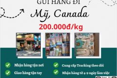 Gửi hàng đi USA, Canada - Tiến Việt Express