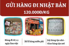 Gửi hàng đi Nhật Bản  - Tiến Việt Express