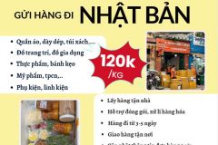 Gửi hàng đi Nhật Bản  - Tiến Việt Express