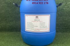 Lactobacillus acidophilus, cân bằng hệ vi khuẩn đường ruột, tăng sức đề k