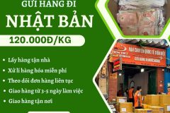 Gửi hàng đi Nhật Bản  - Tiến Việt Express