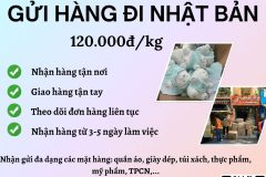 Gửi hàng đi Nhật Bản  - Tiến Việt Express