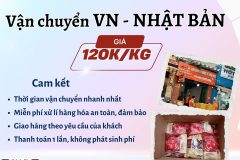 Gửi hàng đi Nhật Bản  - Tiến Việt Express