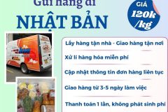 Gửi hàng đi Nhật Bản  - Tiến Việt Express