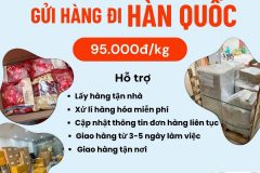 Gửi hàng đi Hàn Quốc - Tiến Việt Express