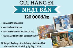 Gửi hàng đi Nhật Bản - Tiến Việt Express