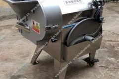 Máy thái rau củ quả đa năng