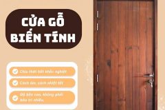 Cửa gỗ biến tính là gì? Giải pháp cửa gỗ cao cấp thách thức mọi thời tiết