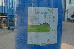 Thảo dược bổ gan Or-immuno, chiết xuất từ tỏi, tăng sức đề kháng cho vật nuôi