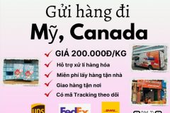 Gửi hàng đi USA, Canada - Tiến Việt Express