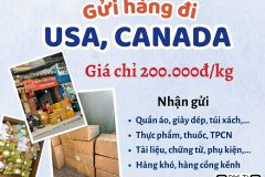 Gửi hàng đi USA, Canada - Tiến Việt Express
