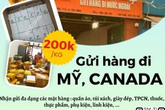 Gửi hàng đi USA, Canada - Tiến Việt Express