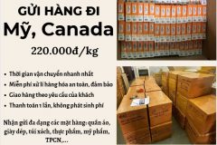 Gửi hàng đi USA, Canada - Emery Express
