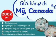 Gửi hàng đi USA, Canada - Tiến Việt Express