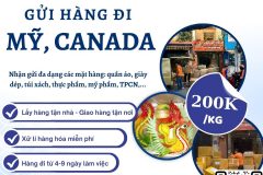 Gửi hàng đi USA, Canada - Tiến Việt Express