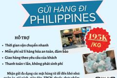 Gửi hàng đi Philippines - Tiến Việt Express