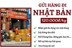 Gửi hàng đi Nhật - Tiến Việt Express