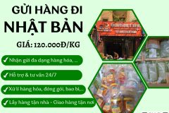 Gửi hàng đi Nhật Bản  - Tiến Việt Express
