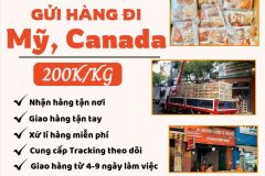 Gửi hàng đi USA, Canada - Tiến Việt Express