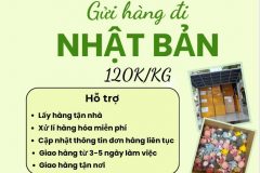 Gửi hàng đi Nhật Bản  - Tiến Việt Express