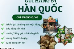 Gửi hàng đi Hàn Quốc - Tiến Việt Express