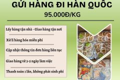 Gửi hàng đi Hàn Quốc - Tiến Việt Express