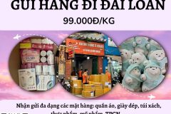 Gửi hàng đi Đài Loan - Tiến Việt Express