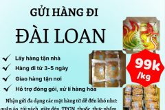 Gửi hàng đi Đài Loan - Tiến Việt Express