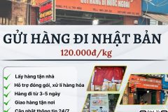 Gửi hàng đi Nhật Bản  - Tiến Việt Express