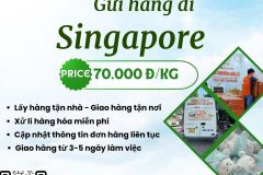 Gửi hàng đi Singapore - Tiến Việt Express