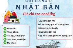 Gửi hàng đi Nhật Bản  - Tiến Việt Express