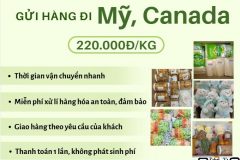 Gửi hàng đi USA, Canada - Emery Express