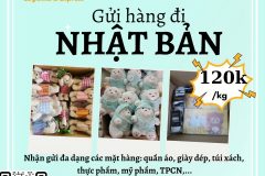 Gửi hàng đi Nhật Bản  - Tiến Việt Express