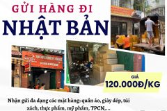 Gửi hàng đi Nhật Bản  - Tiến Việt Express