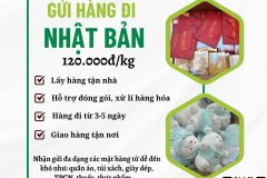Gửi hàng đi Nhật Bản  - Tiến Việt Express