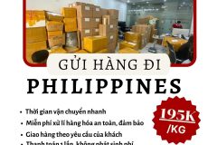Gửi hàng đi Philippines - Tiến Việt Express