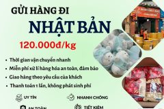 Gửi hàng đi Nhật Bản  - Tiến Việt Express