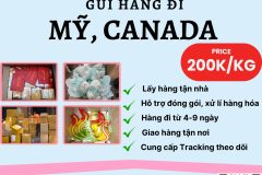 Gửi hàng đi USA, Canada - Tiến Việt Express