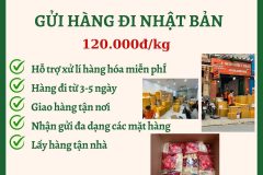 Gửi hàng đi Nhật Bản  - Tiến Việt Express