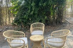 Bàn ghế mây tự nhiên uống trà giá rẻ