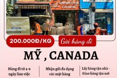 Gửi hàng đi USA, Canada - Tiến Việt Express