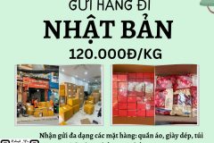 Gửi hàng đi Nhật Bản   - Tiến Việt Express